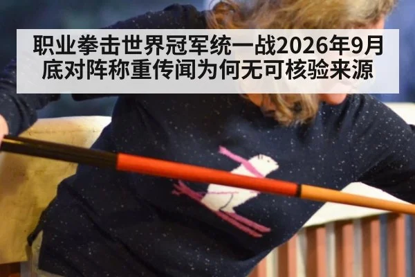 职业拳击世界冠军统一战2026年9月底对阵称重传闻为何无可核验来源